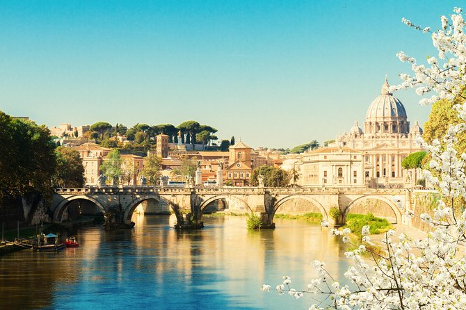 Meet Pope Francis at St Peter Square Vatican City - Audience Experience Highlights