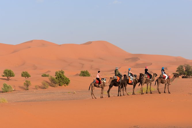 Merzouga Desert Morocco - Sandboarding Down the Dunes