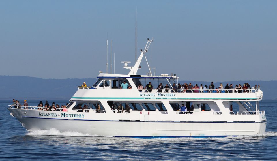 Monterey: Whale Watching Tour With a Marine Guide - Customer Feedback