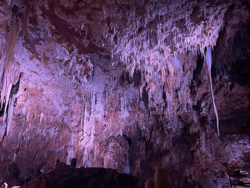 Montpellier:Half-Day Terrasses Du Larzac Wine and Grotto - Pickup and Drop-off Location