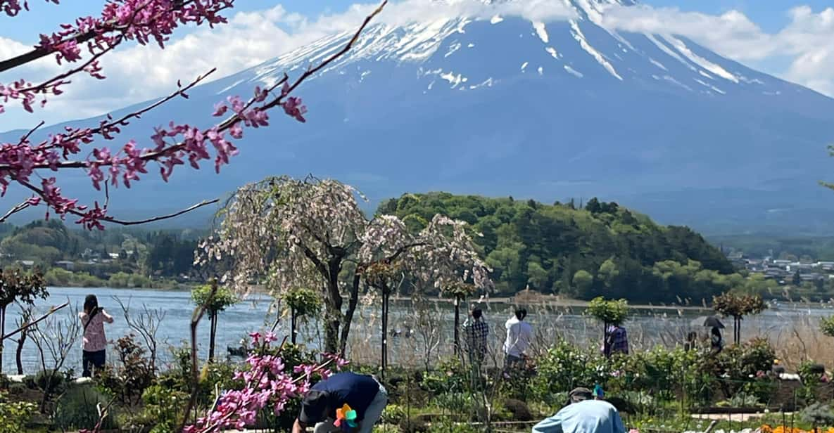 Mount Fuji and Lake Kawaguchiko Tour With English Guide - Transportation and Accessibility