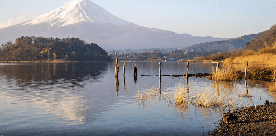 Mount Fuji Classic Highlight Joiner Day Tour Review - Meeting Point and Guidelines