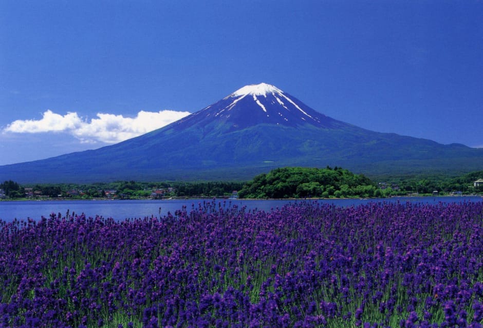 Mount Fuji Sightseeing Trip Review - Customer Feedback