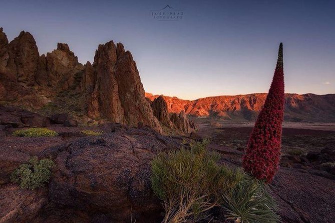 Mount Teide-Icod-Garachico-Masca (Most Popular Bus Tour in Tenerife) - Traveler Capacity and Group Size