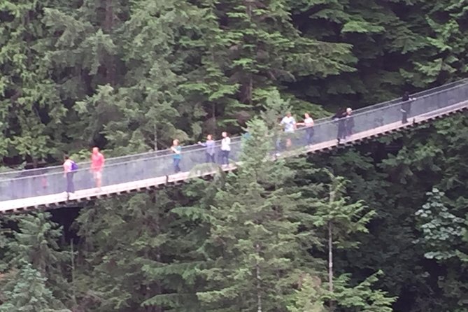 Mountain Adventure (Grouse Mountain and Capilano Suspension Bridge) - Private Tour Experience