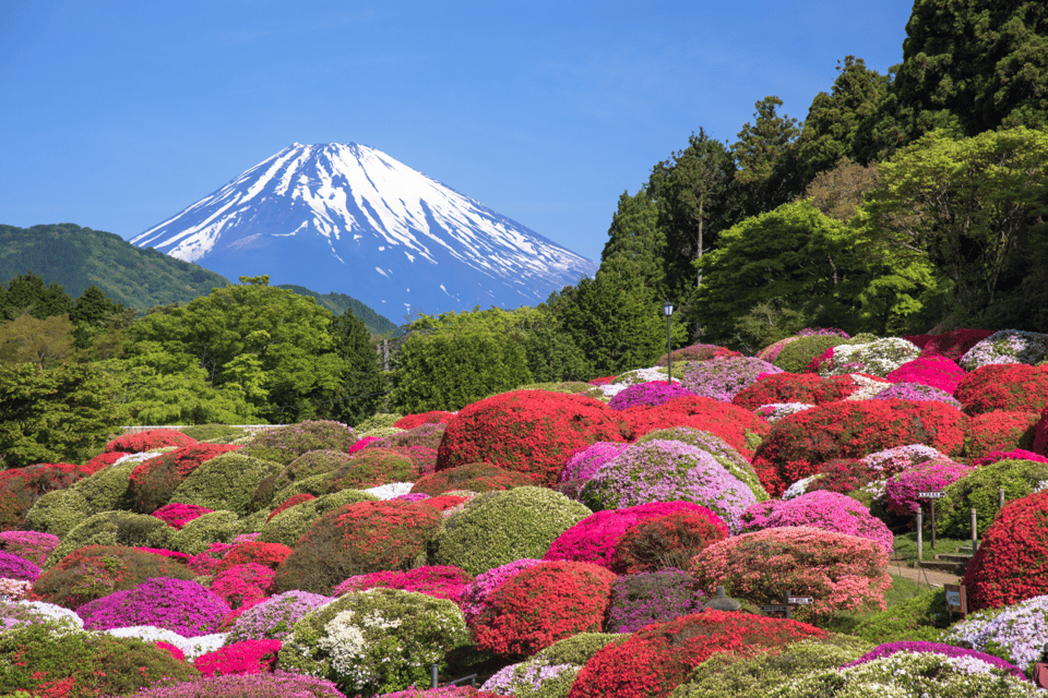 Mt.Fuji and Hakone Tour - Pickup and Drop-off Options