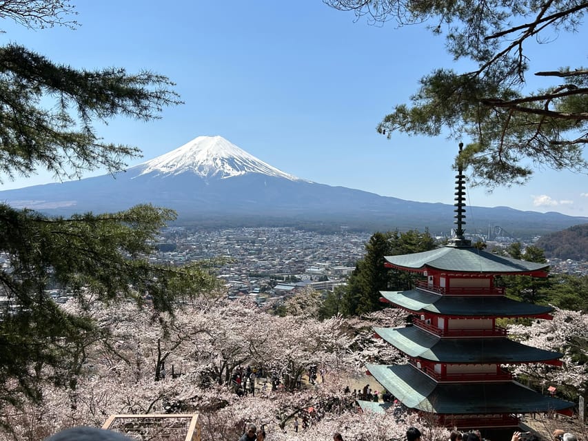 Mt.Fuji Tour, Tokyo / Yokohama ⇒ Tokyo, 2-4 Guests - Important Information