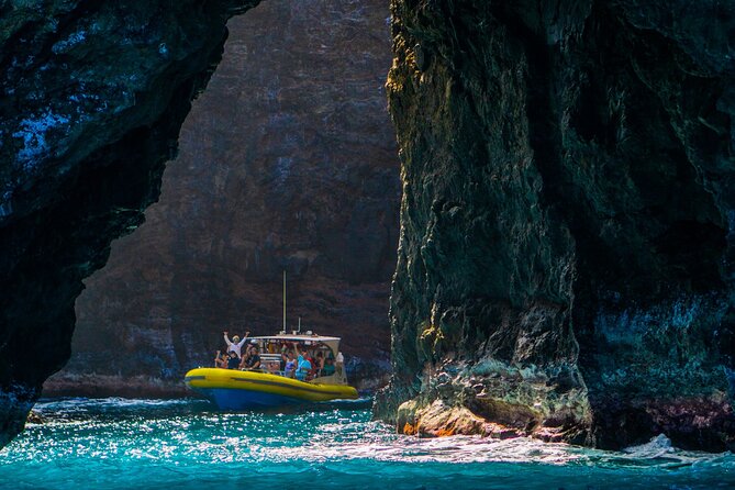 Na Pali Coast Super Raft Adventure - Vibrant Marine Life Encounters