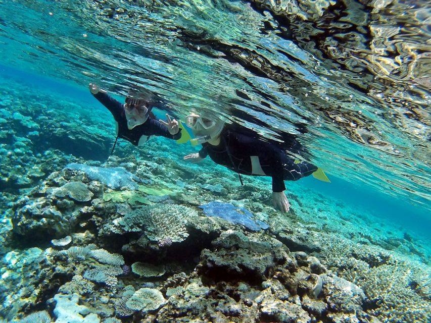 Naha, Okinawa: Keramas Island Snorkeling Day Trip With Lunch - Important Information