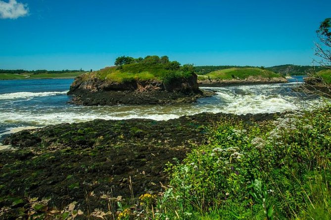 New Brunswick Shore Excursion: Bay of Fundy and More Highlights Tour - Sea Caves and Seafood Chowder