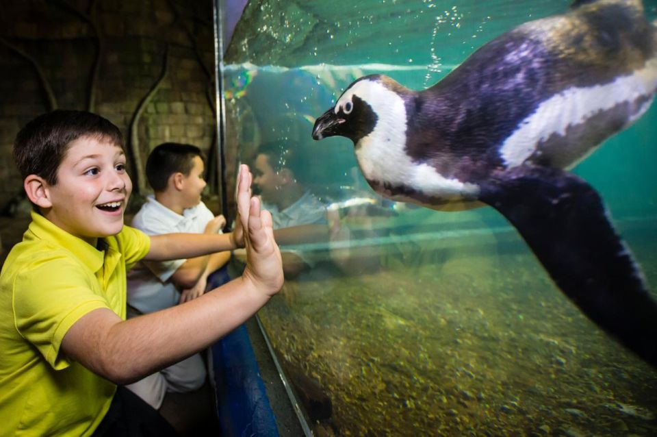 New Orleans: Audubon Aquarium & Insectarium Ticket - Operating Hours and Policies