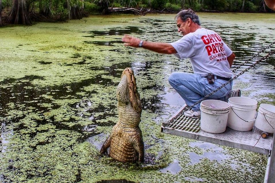 New Orleans: Swamp Boat Ride and Historic Plantation Tour - Inclusions and Exclusions