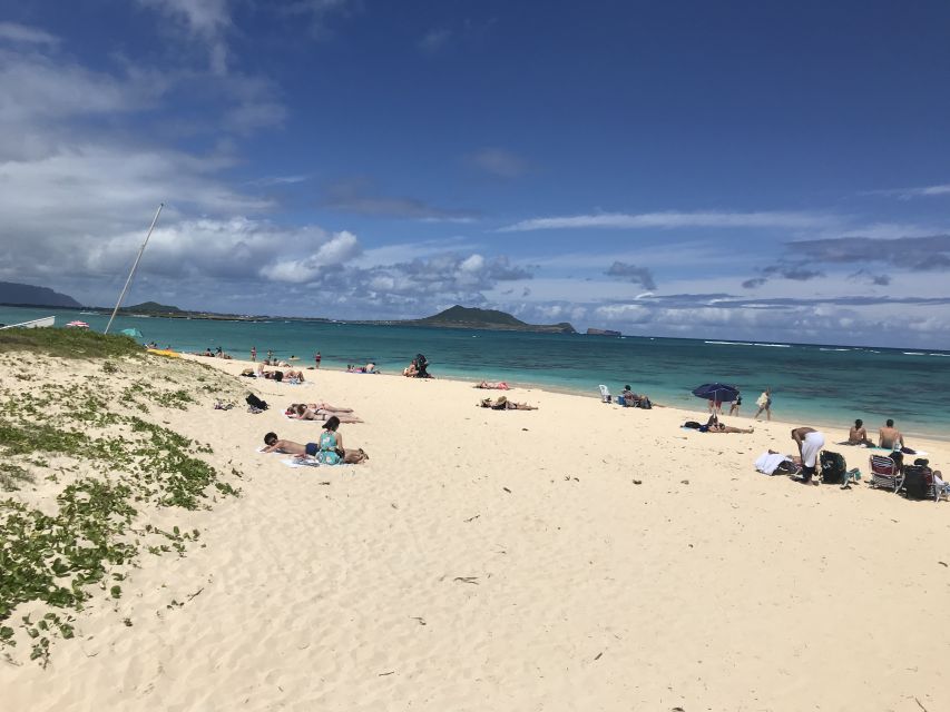 Oahu: Private Island Tour - Scenic Beaches and Lookouts