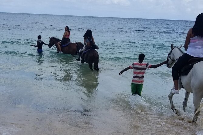 Ocho Rios Private Horse Riding, River Tubing and Rafting[Entry Fee Not Included] - Included Transportation Details