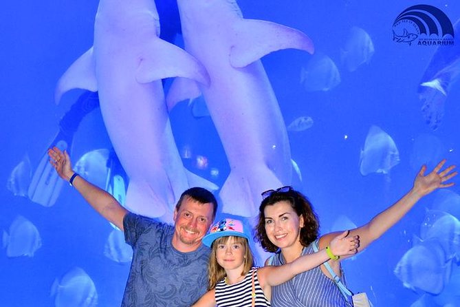 Official Account: Hurghada Grand Aquarium Entrance Tickets - Guest Reviews and Ratings