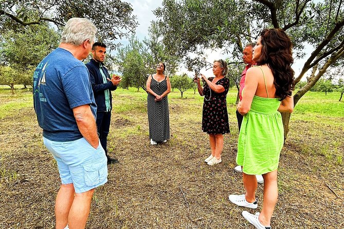 Olive Grove Tour With Wine & Olive Oil Tasting in Balestrate - Meeting Point and Directions