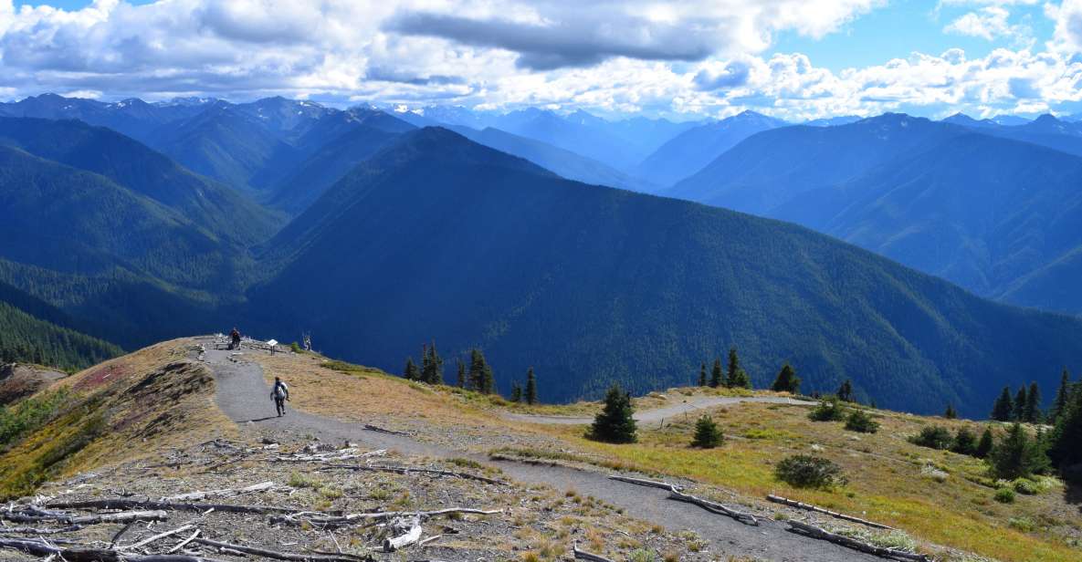 Olympic National Park: Sol Duc and Hurricane Ridge Tour - Excluded From the Tour