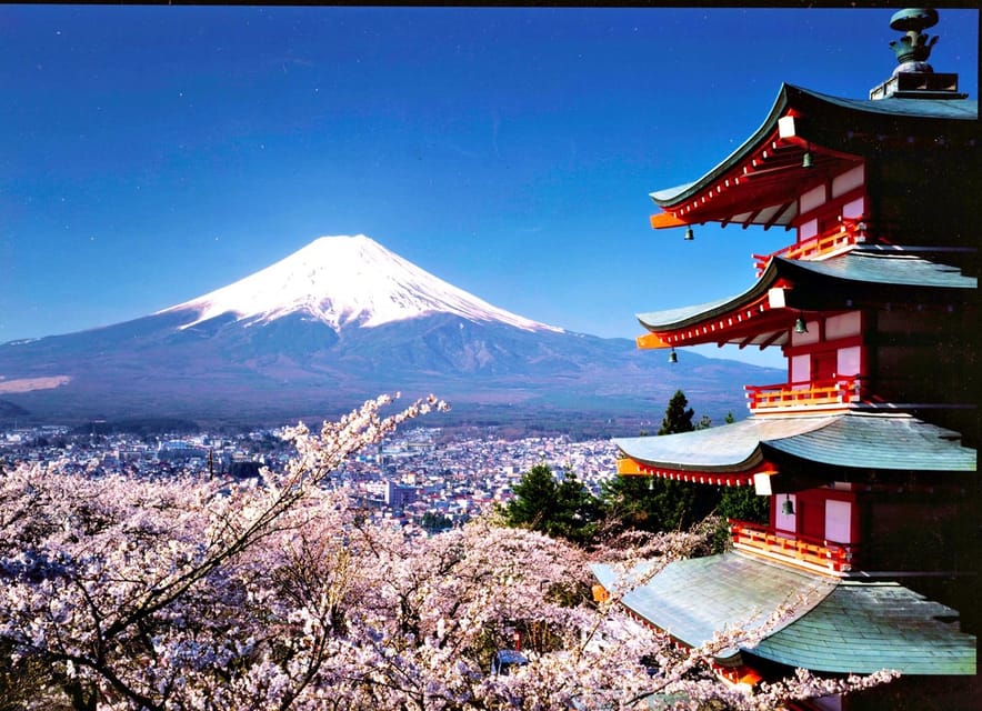 One Day Private Tour to Mount Fuji Hakone With English Guide - Important Information