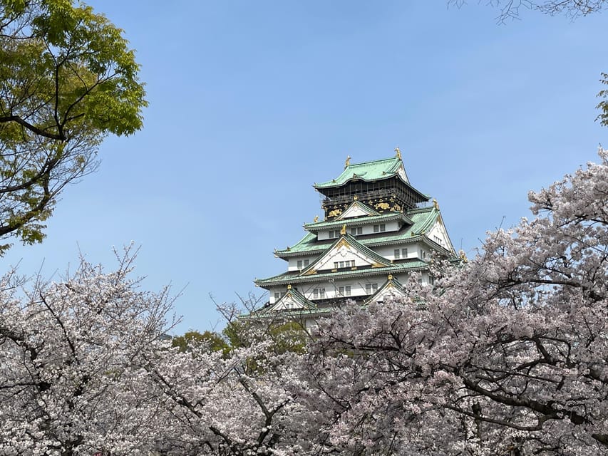 Osaka: Guided Tour of Osaka Castle Park in 90 Minutes - Castle Views