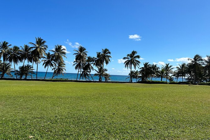 Owia Salt Pond Tour and Black Point Tunnel With Topdawg Taxi and Tours - Cancellation Policy