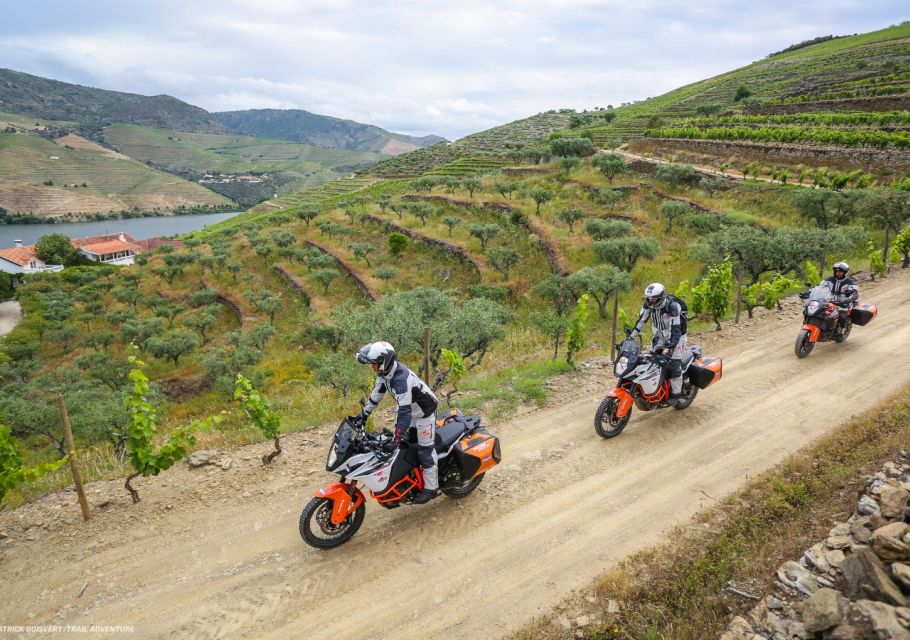 Porto & Douro Valley Experience - MOTO ADVENTURE - Indulging in Porto Wine Tasting