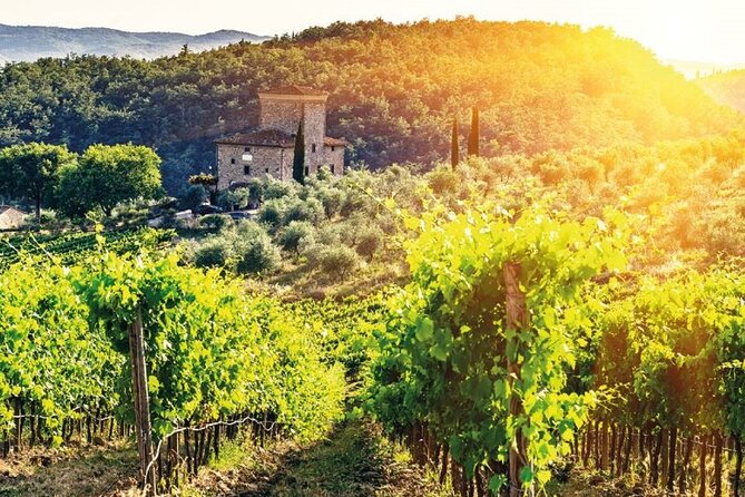 Premier Chianti Afternoon Wine Tasting From Florence - Booking Confirmation