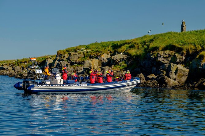 Premium Small-Group Puffin & Bird Watching Tour From Reykjavik - Boat and Wildlife Sightings