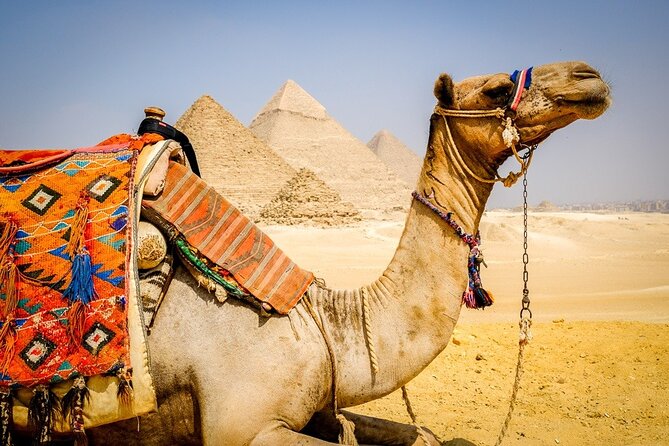 Private All INC- Pyramids,Camel Ride,(1 Hour Atv)& Lunch - Included Amenities and Services