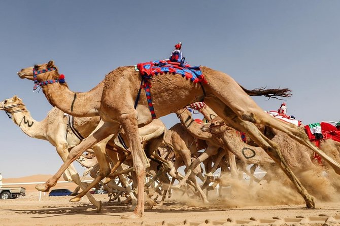 (Private Combo Tour) Sheikh Faisal Museum And Camel Race Track - Cultural Exploration