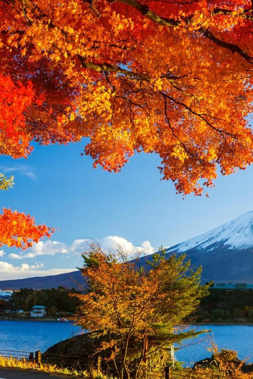 Private Customized Tour in Mount Fuji - Customer Service and Communication