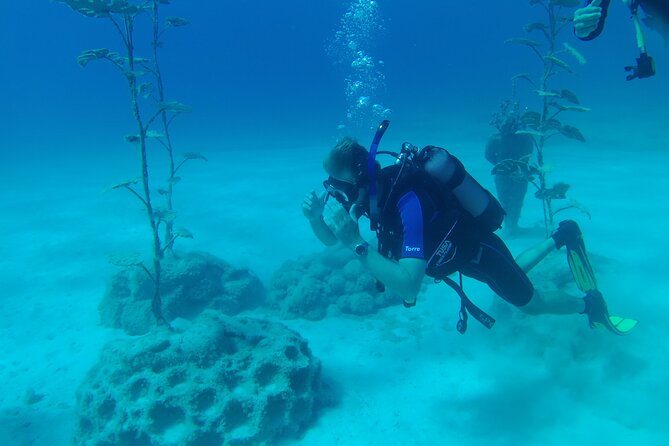 Private Diving Cyprus Experience Protaras and Ayia Napa & Turtles - Booking Confirmation and Policies