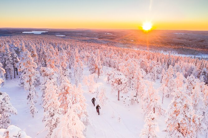 Private Electric Fat Bike Winter Tour in Rovaniemi - Private Tour Experience