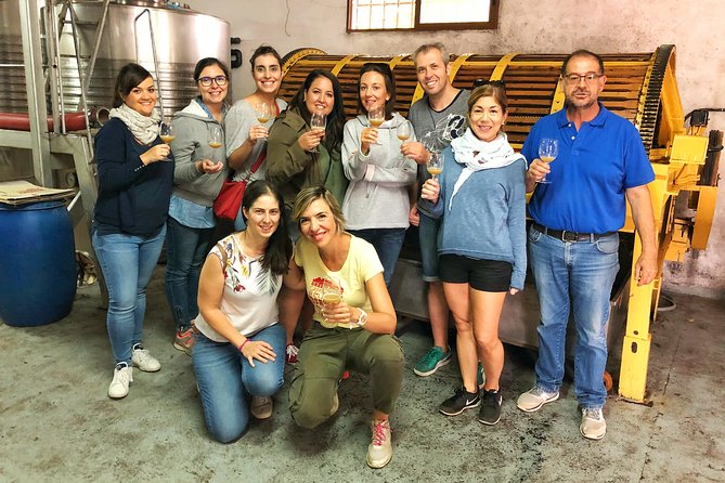 Private Half-Day Wine Tour Near Madrid - Rated Unique and Personalized - Guides Expertise