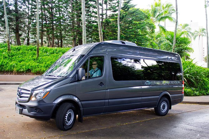 Private Luxury Tour of Kauai: South & West Shores - Customizable Itinerary