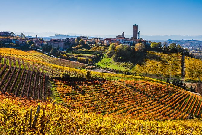 Private Tour: Barolo Wine Tasting in Langhe Area From Torino - Reviews and Ratings