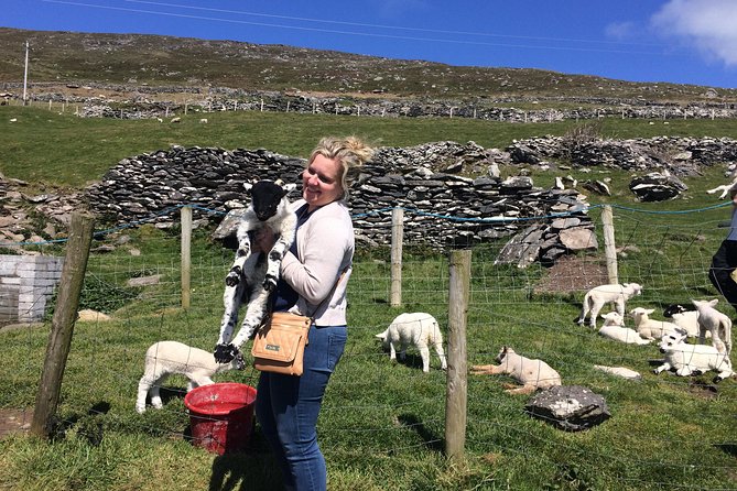 Private Tour of Dingle and Slea Head With Accredited Guide - Customer Reviews