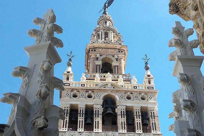 Private Visit Cathedral and Royal Alcazares of Seville - Additional Information