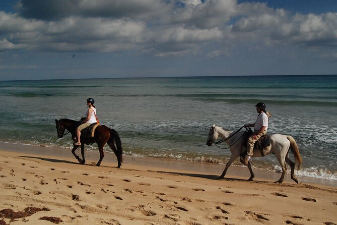 Punta Cana Horseback Riding on the Beach - Tour Suitability and Fitness