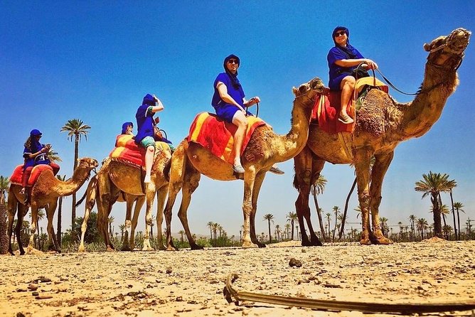 Quad and Camel Ride in the Palmgrove of Marrakech - Pickup and Drop-off Arrangements