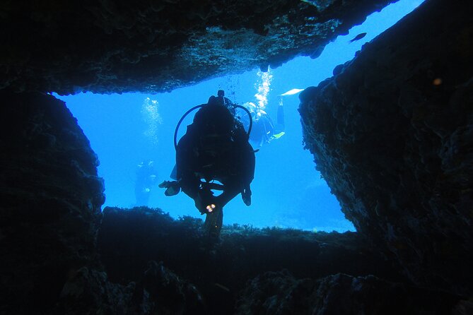 Qualified Diver 1 Tank Dive in Mykonos - Included Equipment and Gear