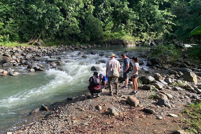 Rainforest Nature Walk & Luquillo Beach Combo - Tour Requirements and Restrictions