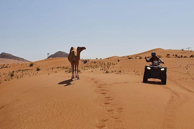 Red Dune Desert Safari Dubai (PREMIUM VIP) - Booking and Confirmation