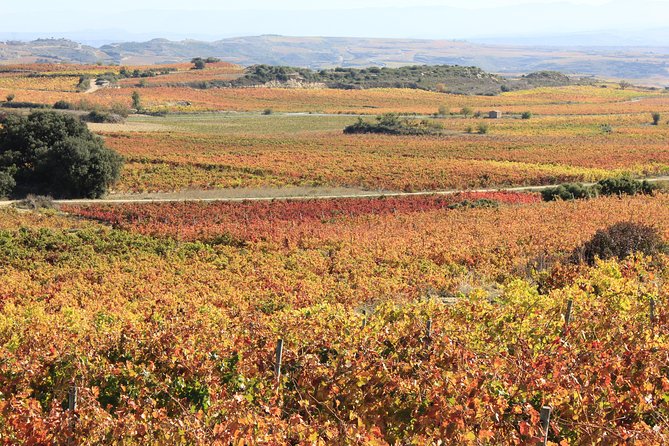 Rioja Wine Tasting Tour From San Sebastian - Discover Architectural Marvels