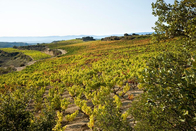 Rioja Wine Tour: 2 Wineries From Bilbao - Tasting Experiences