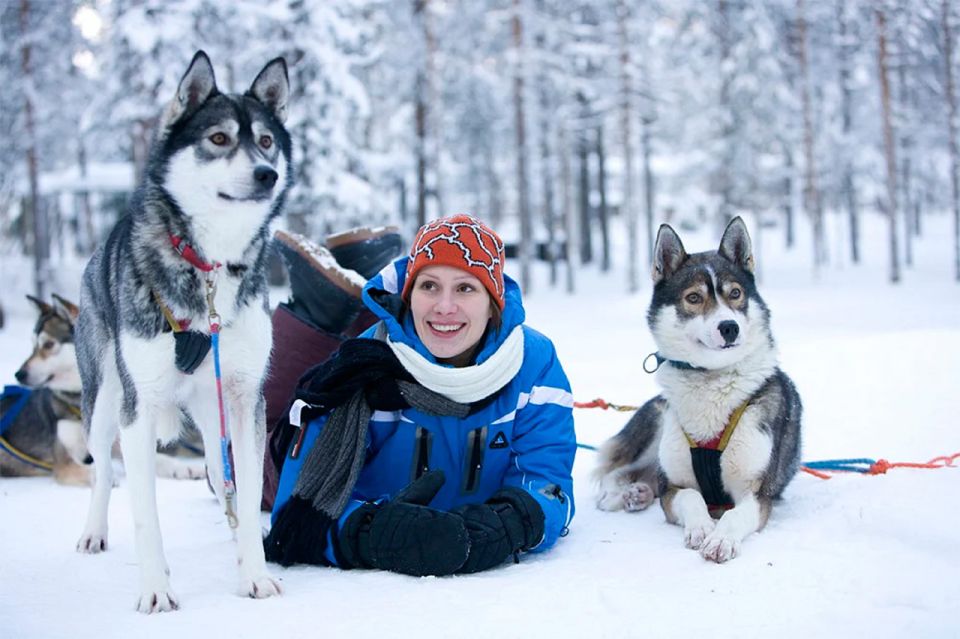 Rovaniemi: Husky Safari on a Snowy Trail - Winter Clothing Provided