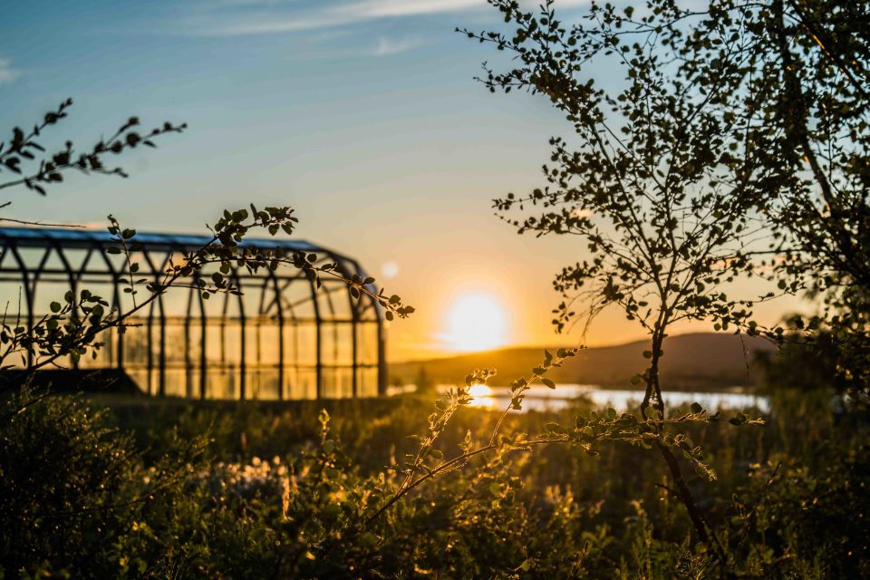 Rovaniemi: Midnight Sun Photography Tour - Drinks and Snacks Included