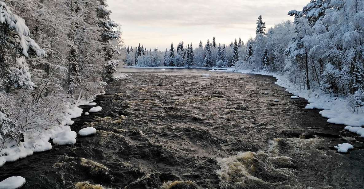 Rovaniemi: Vaattunki Hiking Arctic Circle Trail - Highlights of the Hiking Adventure