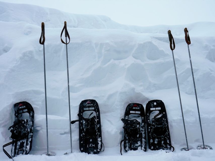 Rovaniemi: Wilderness Snowshoes Expedition Tour & Barbeque - Perfect for Adventure Seekers