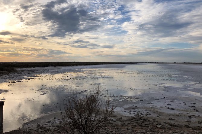 Safari 4x4 Camargue 2 Hours - Saintes Maries De La Mer - Private Tour - Wildlife Observations