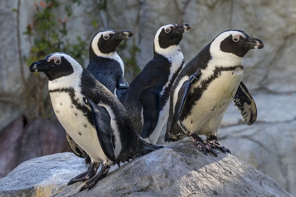 San Diego Zoo: 1-Day Admission Ticket - Family-Friendly Atmosphere and Learning